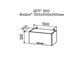 Шкаф верхний ДПГ500 горизонтальный в Кудымкаре - kudymkar.магазин96.com | фото