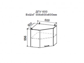 Шкаф верхний ДПУ600 угловой в Кудымкаре - kudymkar.магазин96.com | фото